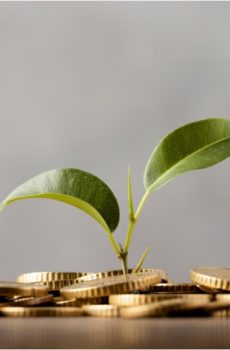 Doradztwo inwestycyjne