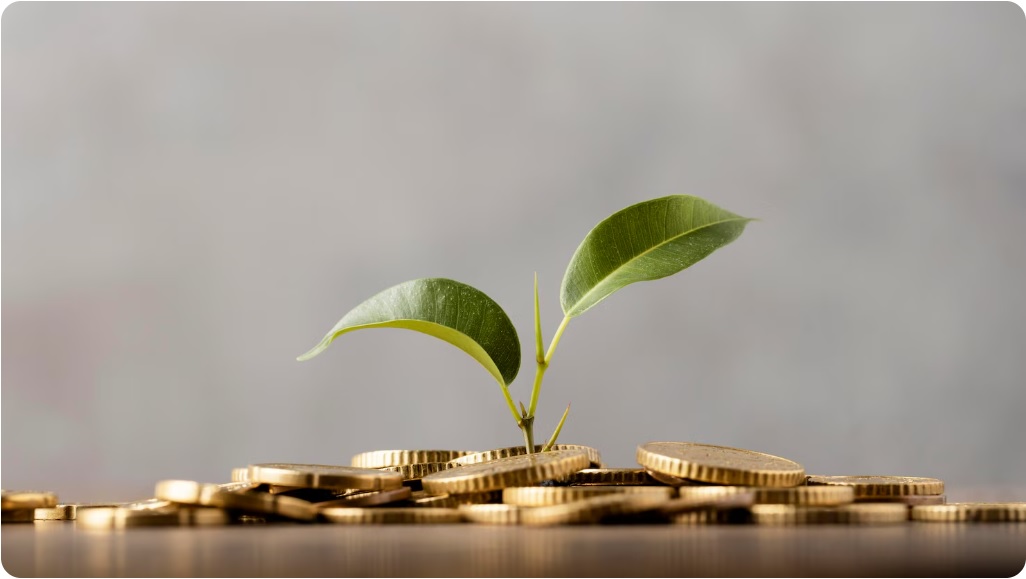 Doradztwo inwestycyjne