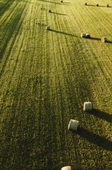 Wycena gruntów rolnych, upraw sadowniczych, roślin ozdobnych i gruntów pod wodami